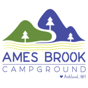 (c) Amesbrook.com